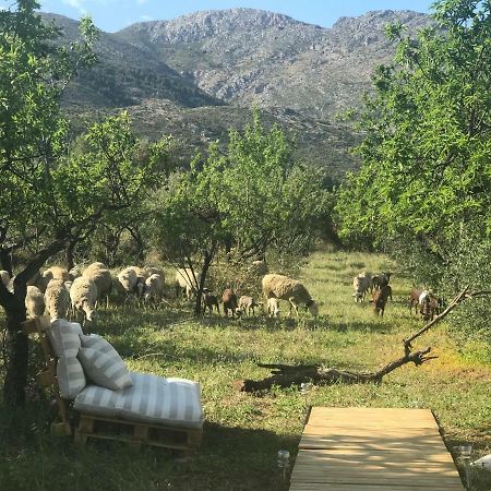 Casa La Plana Villa Orba Kültér fotó